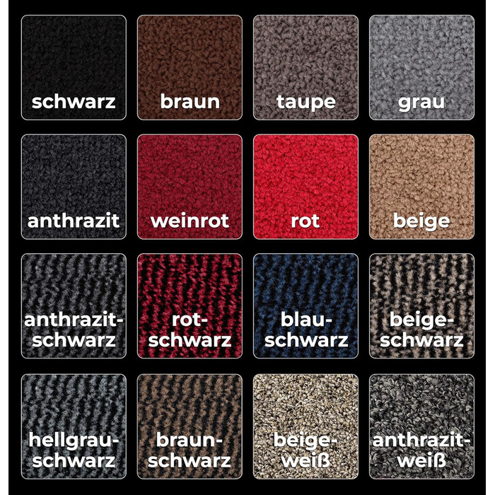 Килимок для дому Carpet Diem, 40x60 см: антиковзаюча шторка для вхідних дверей, килимок для підлоги, шторка від бруду для дому та вулиці