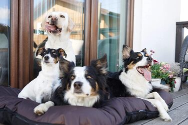 Ліжко для собак середніх порід 4L Textil KLEO, 90x70 см, водонепроникне, знімний чохол, темно-зелене