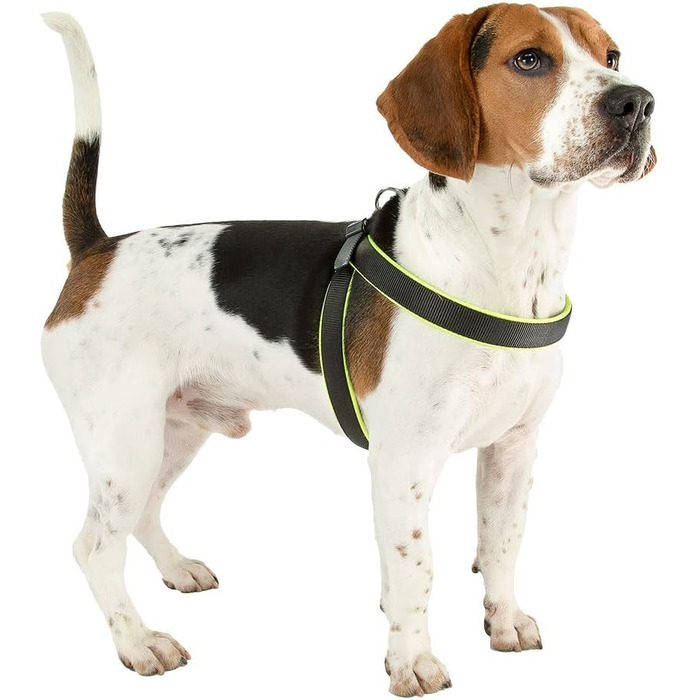 Шлейка для собак Ferplast Agila Fluo 3, неонове зелений, розмір 3, 37-57 см