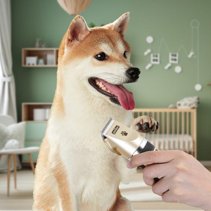 Професійна машинка для стрижки собак Nobleza Leise - набір для грумінгу, акумуляторна, 2 швидкості, для густого, довгого та кучерявого хутра, подарунковий набір (щітка, ножиці)
