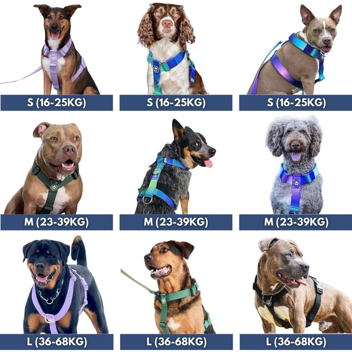 Шлейка для собак Spark Paws No Pull для великих порід, фіолетовий колір, розмір L (16-25 кг), надійна та зручна