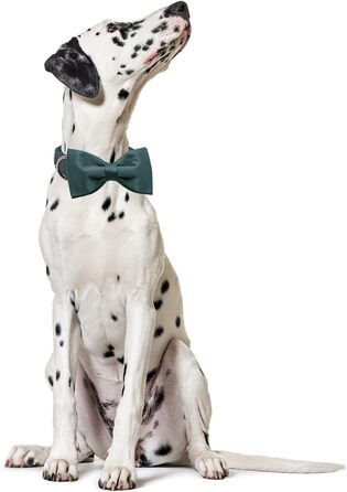 Нашийник для собак Lionet Paws з метеликом - комфортний шовковий нашийник зеленого кольору для маленьких собак, знімний метелик, розмір 25-40 см (L, 1 шт., зелений)