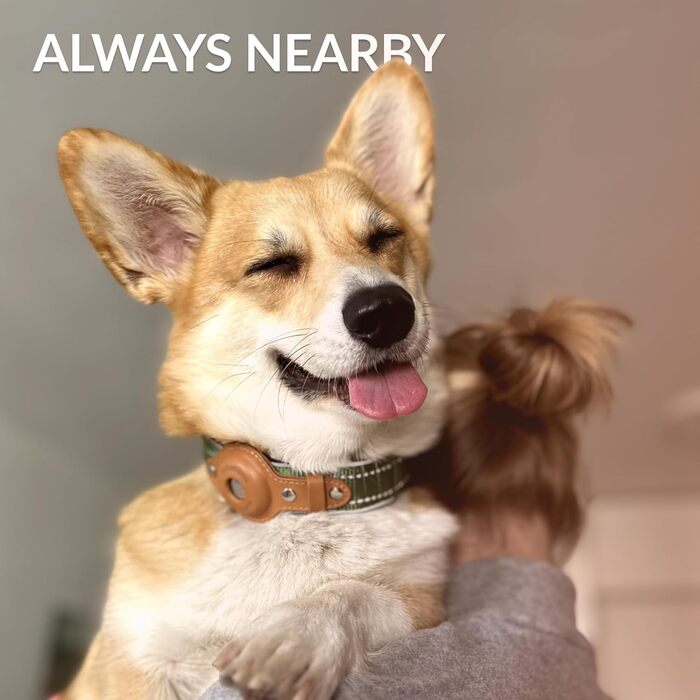 Нашийник для Apple AirTag для собак CollarDirect, світловідбиваючий, зелений, розмір L (42-51 см)