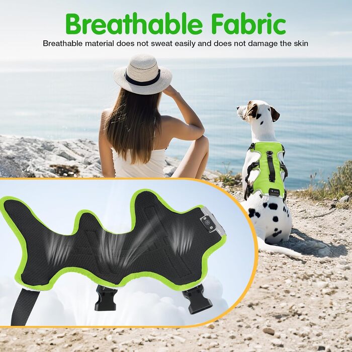 Світловідбиваючий нашийник для собак Jewyow з LED, перезаряджуваний, водонепроникний, 3 режими, зелений, розмір M