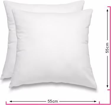 wometo 2er Set Feather Pillow 100% Feathers 55x55-750g oekoTex Pillow Head Pillow Filling Pillow Cover Cotton white/Inner Pillow/Pillow Filling/Sleeping Pillow (2 pieces) 55 x 55 cm