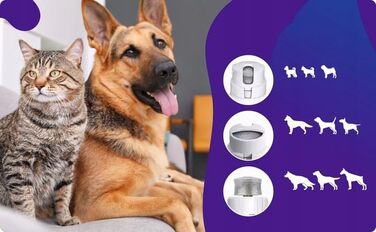 Електричний точило для кігтів собак та котів 3-в-1 з USB-зарядкою, 8000 об/хв, тихе та безпечне, точне шліфування, ергономічне, для малих, середніх та великих тварин