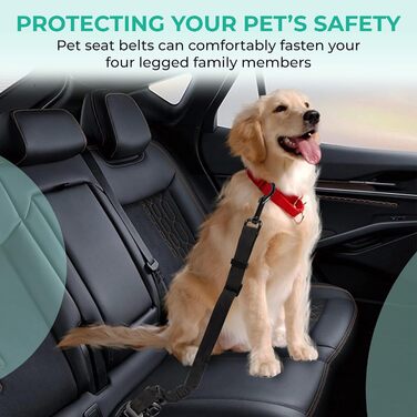 Ремінь безпеки для собак у машину – набір 2 шт. з дорожнім мискою, еластичним гумовим реміннем, регульований, з поворотним механізмом 360° та функцією захисту від ударів для безпечної поїздки