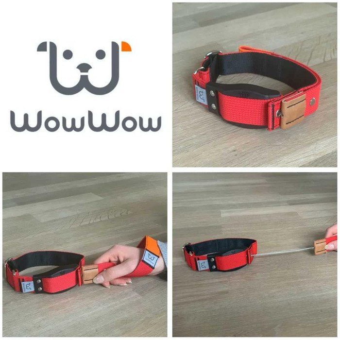 WowWow Professional Dog Collar with Leash - Size 37-46 cm, 195g, lightweight, innovative collar with integrated leash - known from 'The Lion's Den' (S, Red)