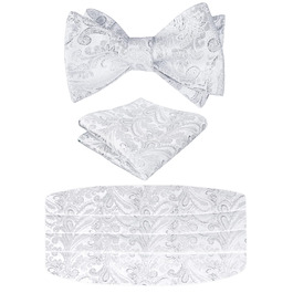 Комплект краватка-хустинка Alizeal Paisley сріблястий, чоловічий, однорозмірний
