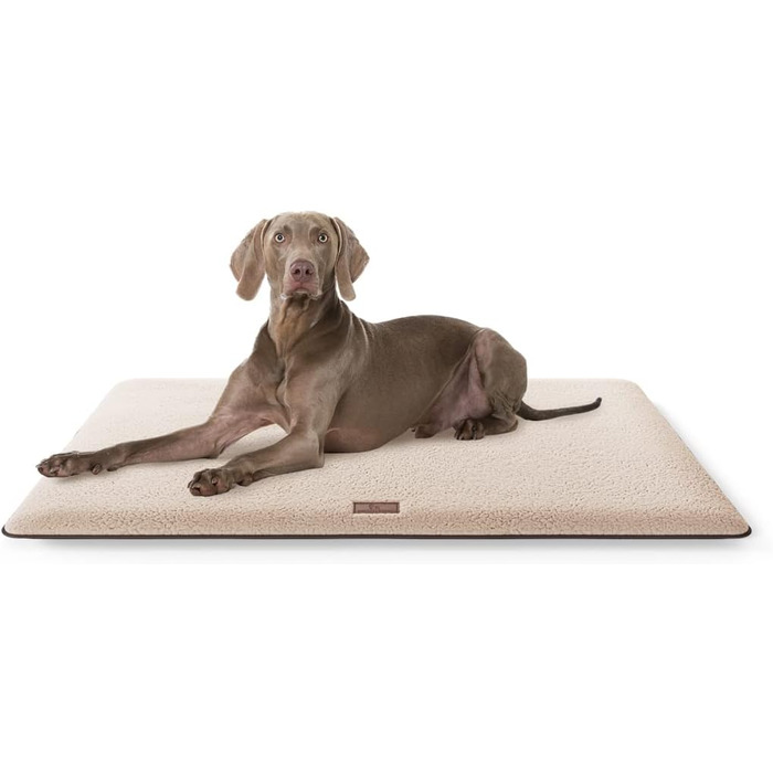М'яка лежанка для собак Knuffelwuff Calliope з плюшевої тканини 120x80 см - подушка для собак великих, середніх та маленьких порід - для дому, авто, кемпінгу (Бежевий, L 88 x W 55 x H 5 см)