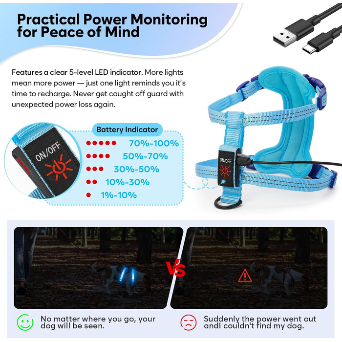 LED нашийник для собак, світлодіодний нашийник для маленьких собак, USB-C, світлодіодна повідка для собак, безпечний нашийник для собак, світлодіодна жилетка для собак, світлодіодна повідка для цуценят, XS, S, світловідбиваючий нашийник для собак, для ніч