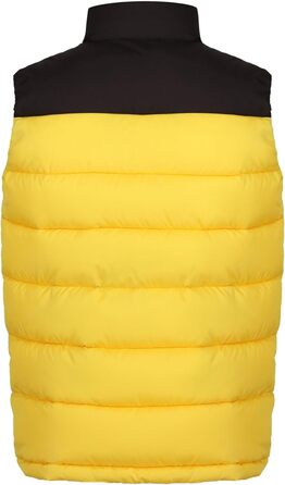 Жилет чоловічий Regatta Professional Vintage Puffer чорного кольору (Solarbetriebenes)