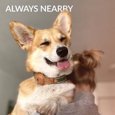 Нашийник для Apple AirTag для собак CollarDirect, світловідбиваючий, зелений, розмір L (42-51 см)