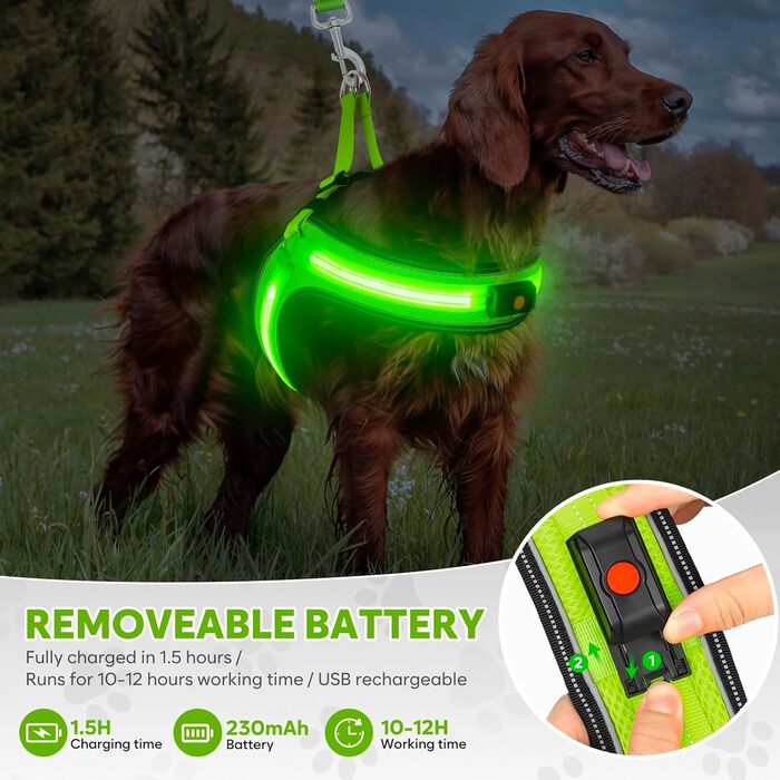 Світловідбиваючий поводок для собак середнього розміру BiPawTi, перезаряджуваний світловідбиваючий жилет для собак з 3 режимами освітлення - світлодіодна шлейка для собак, що світиться в темряві, для кемпінгу з собакою - зелене світло