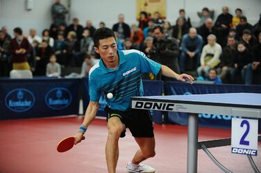 Набір для пінг-понгу Donic-Schildkröt Top Team 800 з ручками AVS & PLS, губка 1,8 мм, Vari Slick - ITTF, 754198 Single