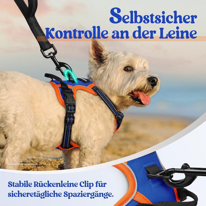 Нашийник для собак Rabbitgoo середнього розміру, анти-тяга, регульований, для великих собак, дихаючий, з світловідбиваючими смугами, безпечне керування, L (Синій+Помаранчевий, XS (1 шт.))