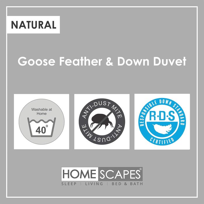 Homescapes Warm Winter Comforter, 200 cm x 200 cm, Down Comforter Heat Class 4-5 with 85% Goose Down and 15% Down, Down Comforter, Quilted Comforter Öko-Tex Certified 200 x 200 cm