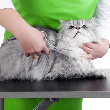 Професійний набір для догляду за собаками Bizzarre.ly – набір інструментів для грумінгу собак та домашніх тварин. Включає ножиці для шерсті, ножиці для фінальної обробки, вигнуті ножиці та гребінець для собак та котів.