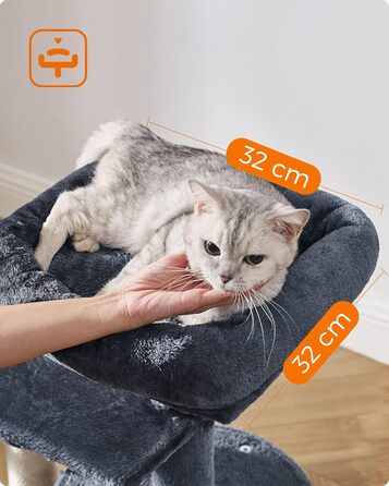 Feandrea Cat Tree, Small Cat Tree, Multi-Level, 68 cm, Smoke Gray PCT59G