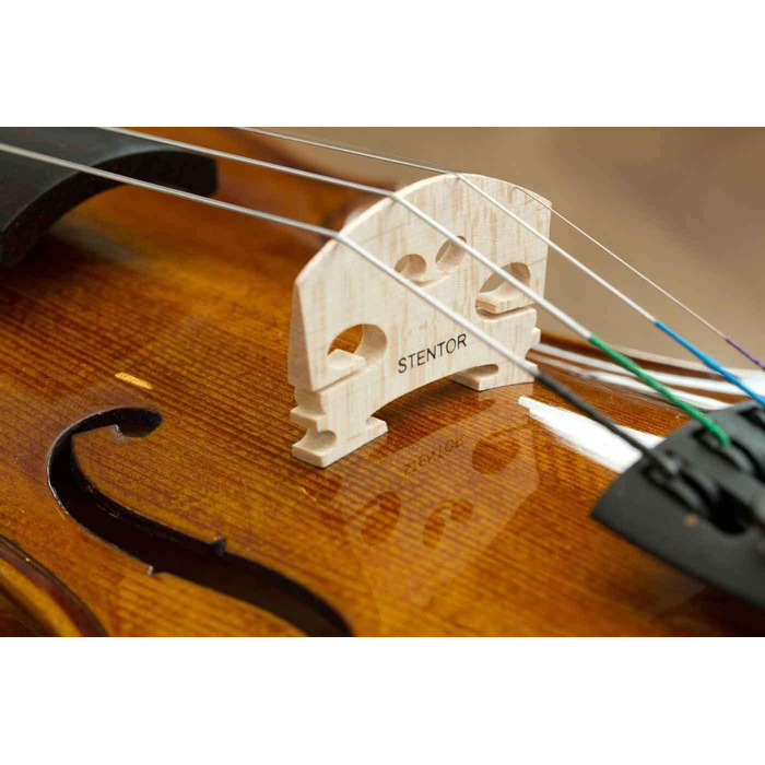 Скрипка Стентор Violine Student I 3/4 з футляром, смичком, сургучною смолою та аксесуарами
