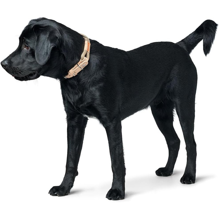 Нашийник для собак HUNTER Malia, бордово-коричневий, з м'якого шнура та міцної шкіри, легкий, зносостійкий, сучасний та елегантний дизайн, яскраві кольори, Made in Germany, розмір 45, бордово-коричневий