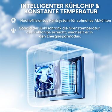 Mini холодильник Enventor 10L: для кімнати, авто, офісу. Охолодження та нагрів, 12V/220V, тихий, чорний