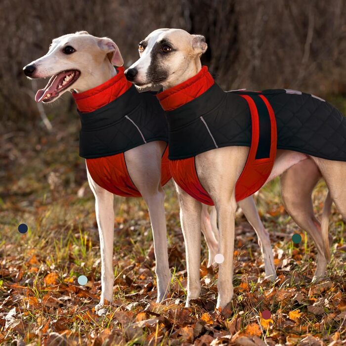 Greyhound Warm Winter Coat, Greyhound Coat Adjustable Outdoor Greyhound Dog Jacket with Harness Hole Warm Dog Clothing Greyhound/Salukis (Red, 3XL)