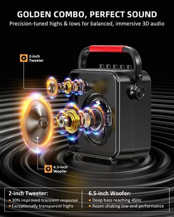 Караоке Машина з 2 мікрофонами, Bluetooth, PA Система з FM, USB, TF, AUX, Ехо, Регулювання Bass/Treble, Чорний