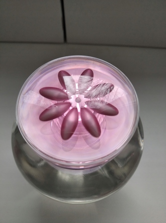 Парфумована вода для жінок Elizabeth Arden Pretty, 100 мл