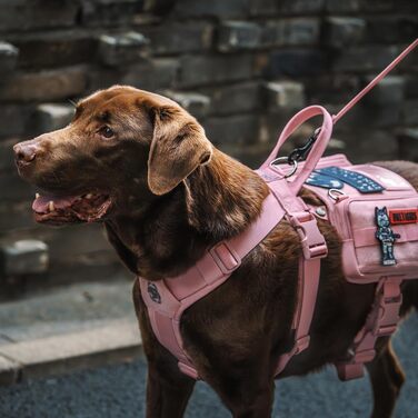 Нашийник для собак OneTigris Guardian з міцною металевою фурнітурою та великою кишенею, рожевий, M