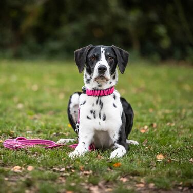 Нашийник для собак Sprenger з паракорду, нержавіюча сталь, світловідбиваючий, жовтий (55 см)