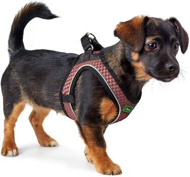 Нашийник для собак HUNTER HILO COMFORT, турквіс, розмір XXS, легкий, з сітчастого матеріалу, для маленьких та середніх собак, з відбиваючими елементами, сучасний дизайн