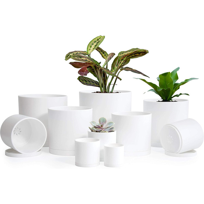 High-quality plastic plant pots, 2 inches (5.1 cm), available in sizes 2.4, 2.5, 3, 3.5, 3.7, 4, 4.7, 5, 5.5, 6 inches - complete set of 10 white plant pots with drainage holes and seamless saucers.