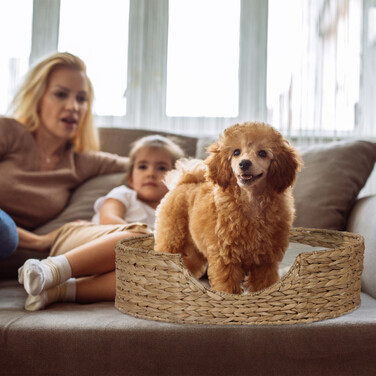 Relaxdays Pet Bed for Dogs and Cats