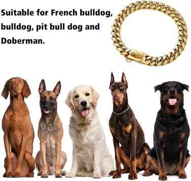 Нашийник для собак Кубинський стиль, нержавіюча сталь, ширина 14 мм, ланцюжок, довжина 26/31/36/41/46/51/56/61 см, золотий, для цуценят, собак маленьких та середніх порід