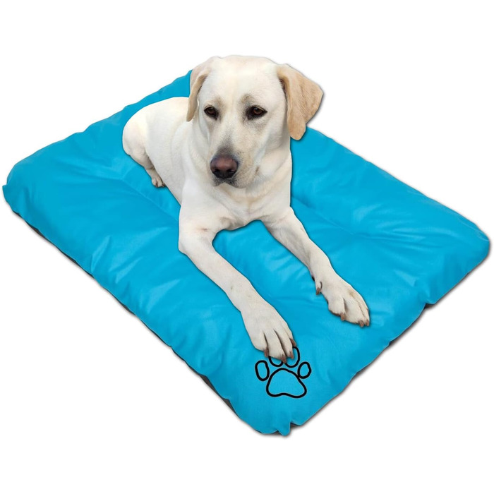 Килимок для собак, лежанка для собак великих, середніх та малих порід - вологостійкий, м'який, з піною, для вулиці та дому - 90x60x8 см, блакитний