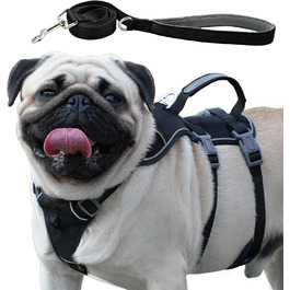 Нашийник для собак з повідком, безпечний нашийник від виривання, анти-тяговий нашийник з ручкою та світловідбиваючими елементами, легкий, регульований нашийник для середніх собак (Чорний, XS). Дуже маленький, чорний