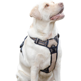 розмір: великий