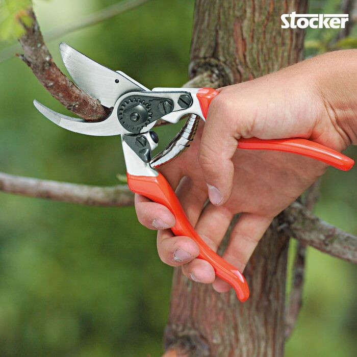 Професійний садовий секатор STOCKER 21 см, хромована сталь, ергономічний, для обрізки гілок до 22 мм, ідеальний для троянд та багаторічників, з PVC-ручками