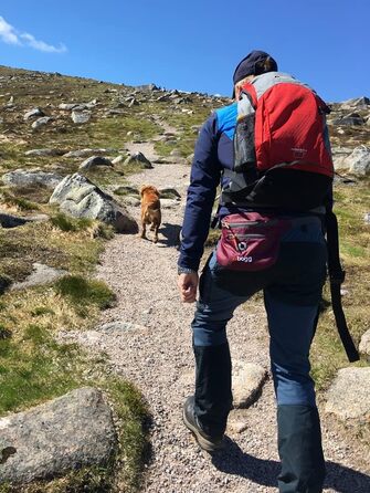 BOGG Універсальна сумка-переноска для собак | Диспенсер для пакетів та контейнер для відходів (Бромберг)