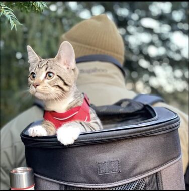 Рюкзак для тварин Kritter Planet з сітчастими вікнами, дихаючий та складаний, для собак та котів, знімний килимок, для походів, велосипеда, активного відпочинку, 7 кг, світло-сірий