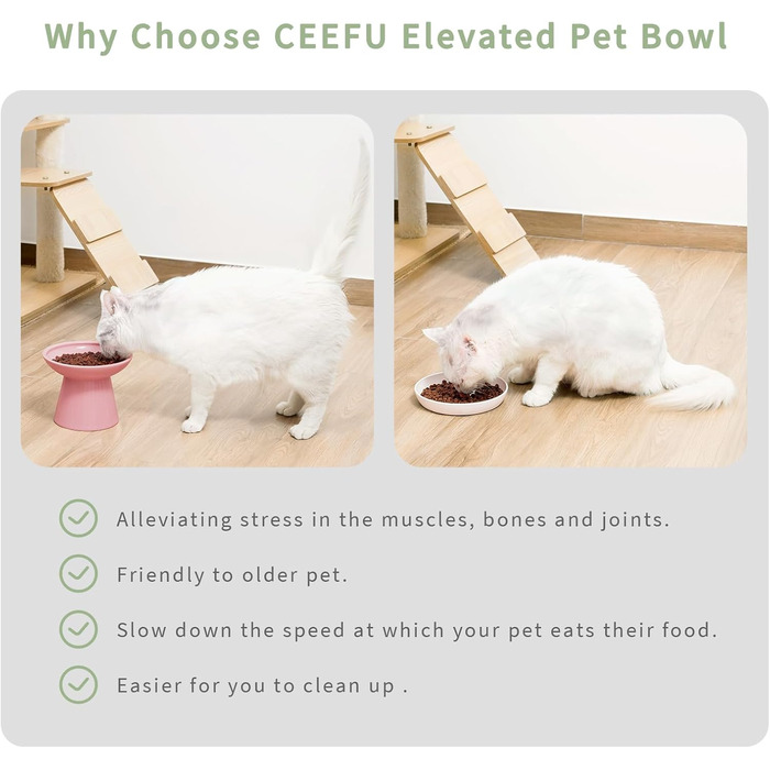 Керамічна миска для котів з піднятою платформою, 2 шт., блакитна (рожева), проти блювоти, для собак та котів