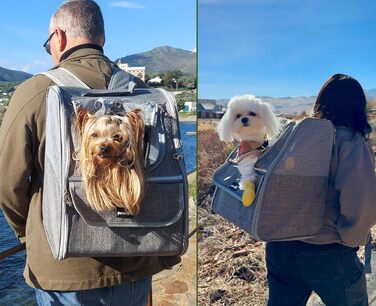 Рюкзак для кота Pecute з сіткою, дихаючий та легкий, для собак та котів до 6 кг (Світло-сірий)