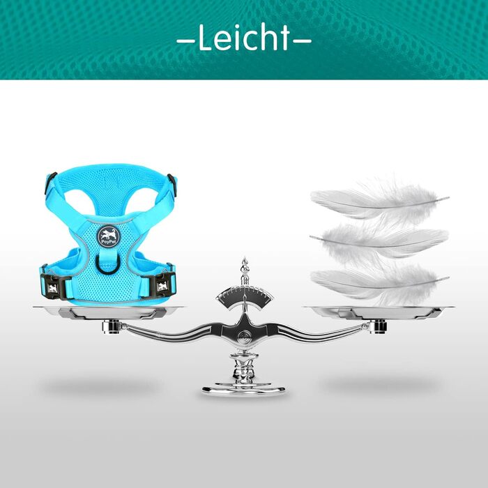 Поясна шлейка для собак PoyPet з сітки, дихаюча, м'яка, світловідбиваюча, з регульованим обхватом, синього кольору (M)