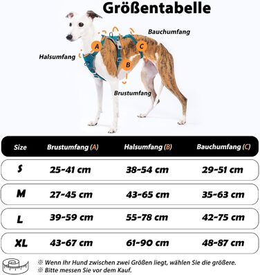 Шлейка Huntboo для собак: безпечна від виривання, антистресова, з відбиваючими елементами, регульована, легка (розмір S, блакитна)