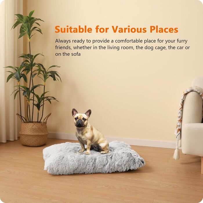 Dog Bed, Fluffy Dog Mats, Longer Plush Dog Cushion, Washable, Non-Slip Bottom, 110 cm for Medium and Large Dogs, (L 80 x W 50 x H 10 cm, Light Grey)