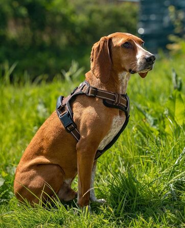 Нашийник для собак Lionto з м'якого нейлону, анти-тяга, з 2 кільцями та 4 регульованими ремінцями, 2 застібки-кліпси, гумовий ручка, розмір M, коричневий