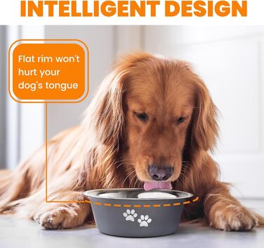 PETTOM Миски для собак 2 шт. з нержавіючої сталі (3120 мл), миски для корму для собак, великі, середні та малі породи, миски для води для собак, сірі, з неслизьким силіконовим дном, розмір M - 21 см