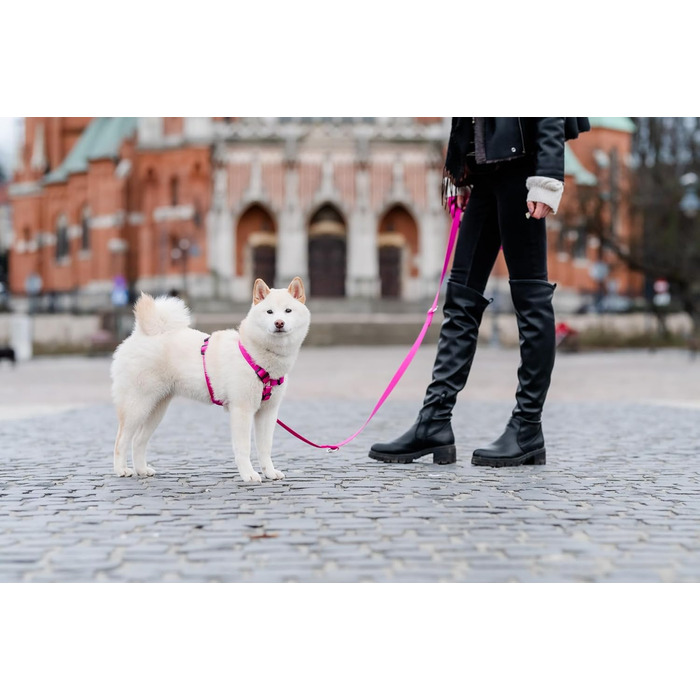 Шлейка для собак Chaba Guard для малих та середніх порід, контрольована, протисмикова, регульована, зручна, легка, класична, розмір M, фуксія/рожева