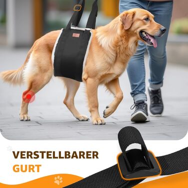 Регульована переноска для собак, підтримуюча пов'язка для реабілітації, поранених, травмованих або літніх собак - шлейка для собак як допоміжний засіб для ходьби для малих та великих собак (Білий, XL)